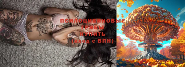 индика Балабаново