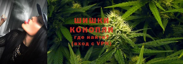 тгк Богданович